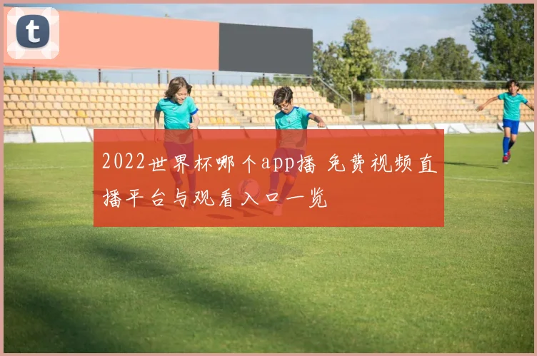 2022世界杯哪个app播 免费视频直播平台与观看入口一览