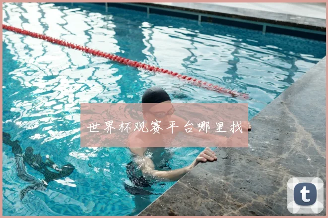 世界杯观赛平台哪里找