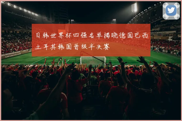 日韩世界杯四强名单揭晓德国巴西土耳其韩国晋级半决赛